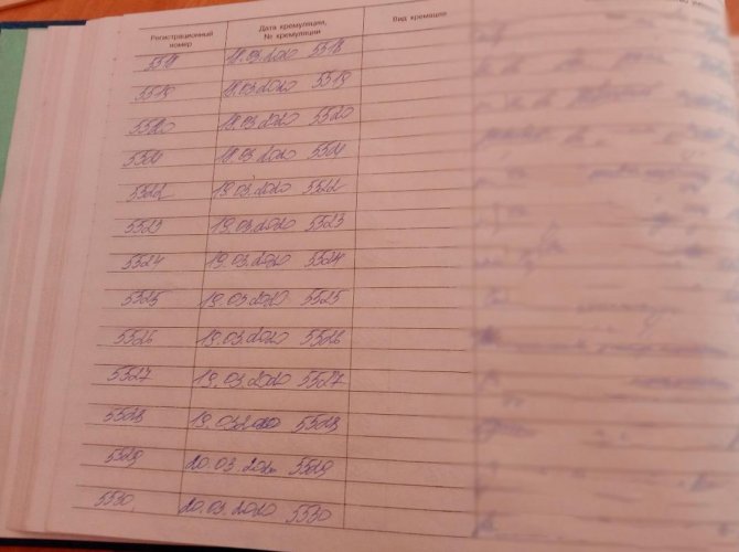 Война крематориев "стенка на стенку" Война крематориев "стенка на стенку"