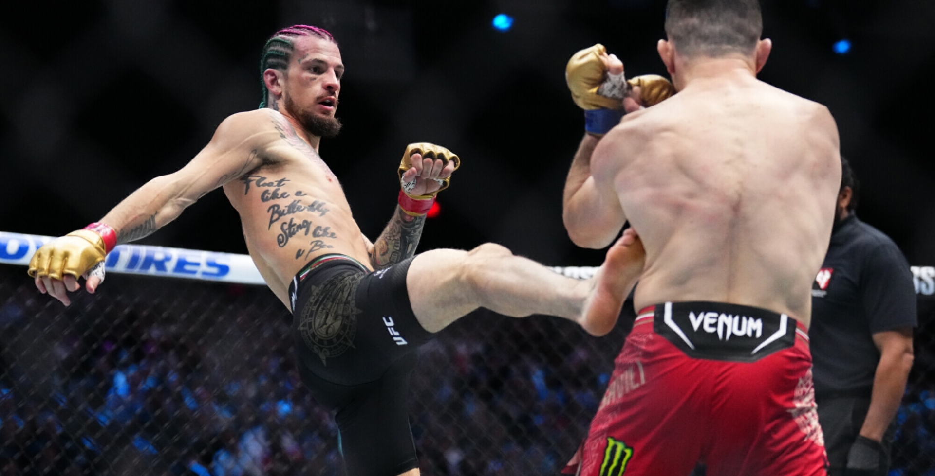 Реванш Двалишвили и О'Мэлли станет главным событием турнира UFC 316 в Ньюарке
