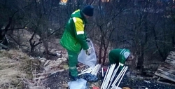 Петербургские экологические службы собрали около 19 тонн опасных отходов за неделю