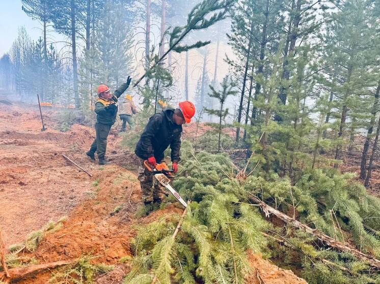 It burns clearly: in Transbaikalia "they gave the heat"